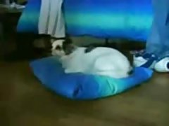 порно нови богородица Парот во туш на камера